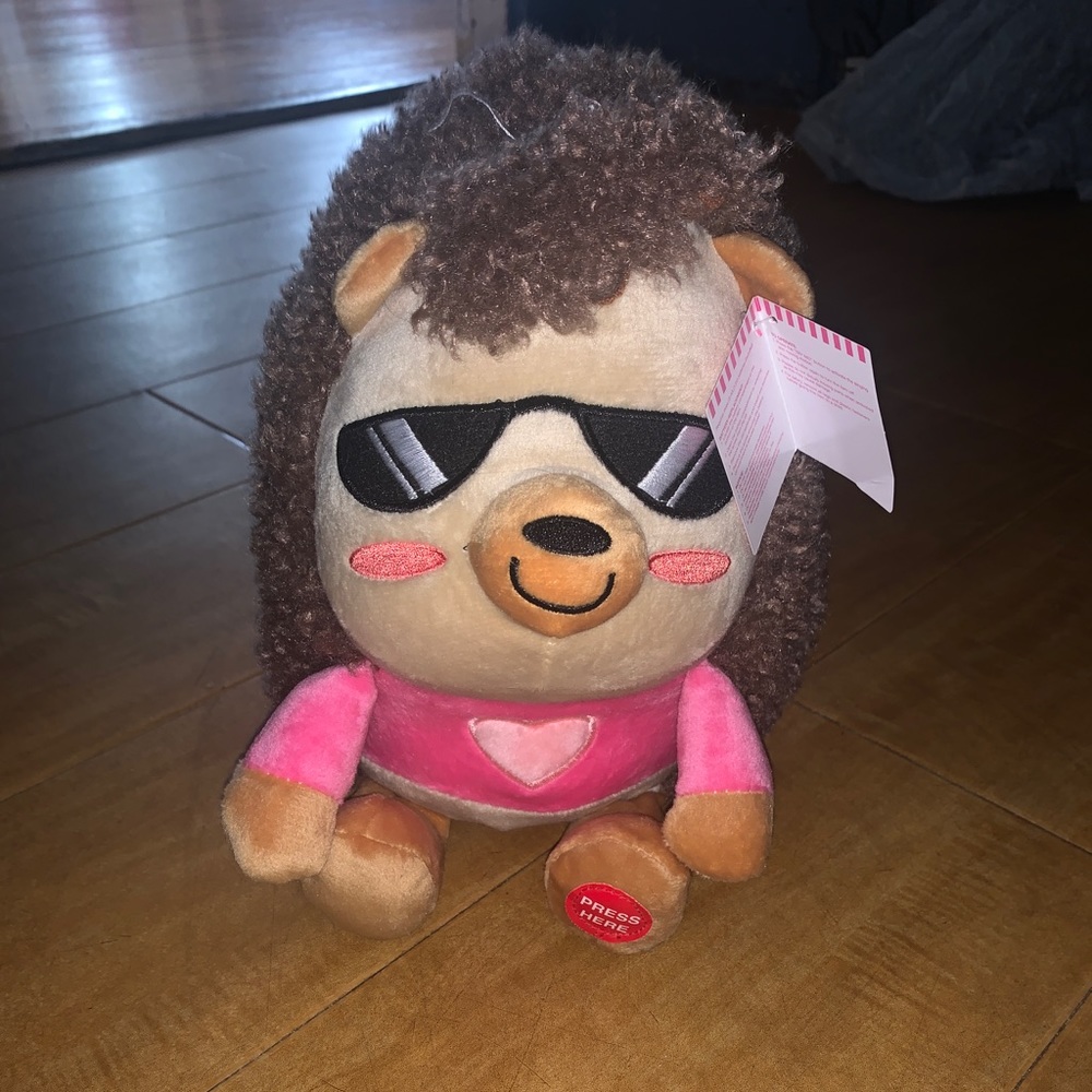 Hedgehog Toy